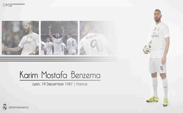 皇家塔马利联VSTF指数